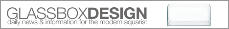 Glass Box Design