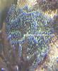 IMG 20110211 131511