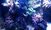 IMAG0042
