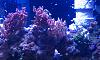 IMAG0060