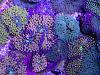 IMG 0035[1]