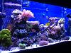 90 gallon 2