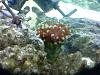 photo(2)