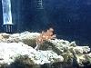 photo (10)