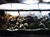 FTS
