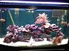 IMG 1748