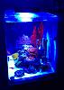 Side pic of Nuvo