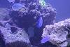 IMG 4893a