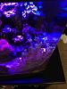 At night with magenta and blue panorama LEDs