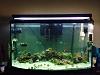 90 gal completed