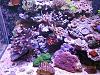 DSCN0265