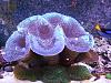DSCN0271