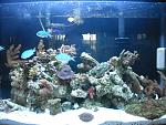 Full shot of new 30-gallon