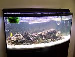 after aquascape