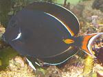 DSCN3647