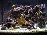 fish tank
