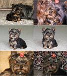 gallery 477 45 192688[1]
