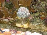 IMG 2757S