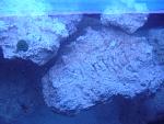 Top Right Side of Tank