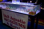 B&B Aquatics display