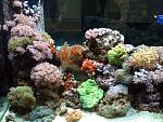Left side of tank