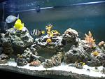 fish pics 011