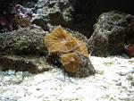 fish pics 006