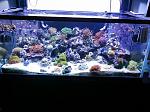 FTS compressed