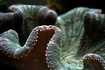 IMG 6108