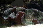 IMG 6131