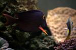 IMG 6153