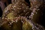 IMG 6241