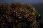 IMG 6244