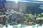 DSC 0369 009